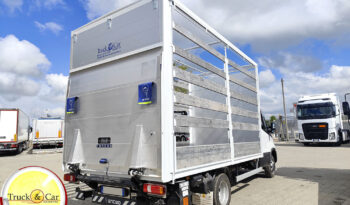 RIF.1318 IVECO DAILY 35 C 14 – 2025 – CASSONE CENTINATO CON SPONDA CARICATRICE A BATTENTE ANTEO DA 8 Q.LI – EURO 6 completo