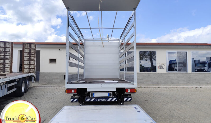 RIF.1318 IVECO DAILY 35 C 14 – 2025 – CASSONE CENTINATO CON SPONDA CARICATRICE A BATTENTE ANTEO DA 8 Q.LI – EURO 6 completo