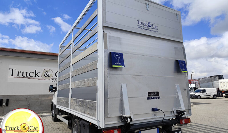 RIF.1318 IVECO DAILY 35 C 14 – 2025 – CASSONE CENTINATO CON SPONDA CARICATRICE A BATTENTE ANTEO DA 8 Q.LI – EURO 6 completo